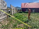 Volunteer tending to the Everson Ranch - Sabine Borchers